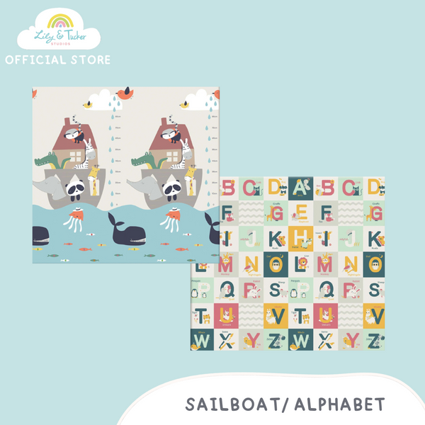 Reversible and Foldable Baby PlayMat