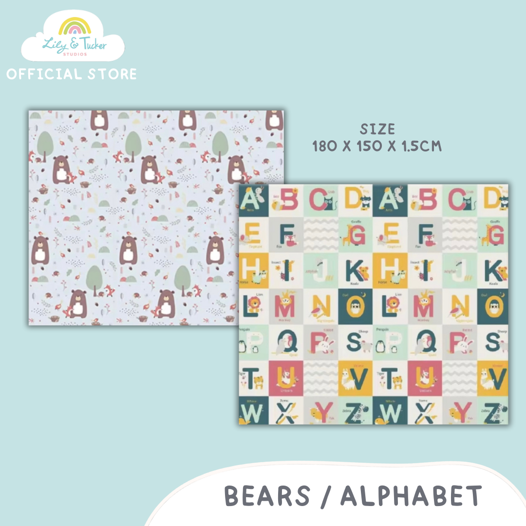 Reversible and Foldable Baby PlayMat