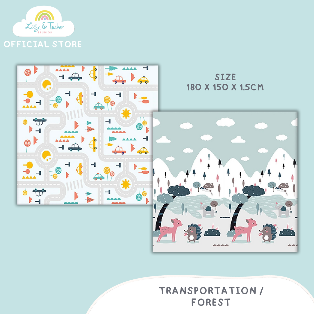 Reversible and Foldable Baby PlayMat