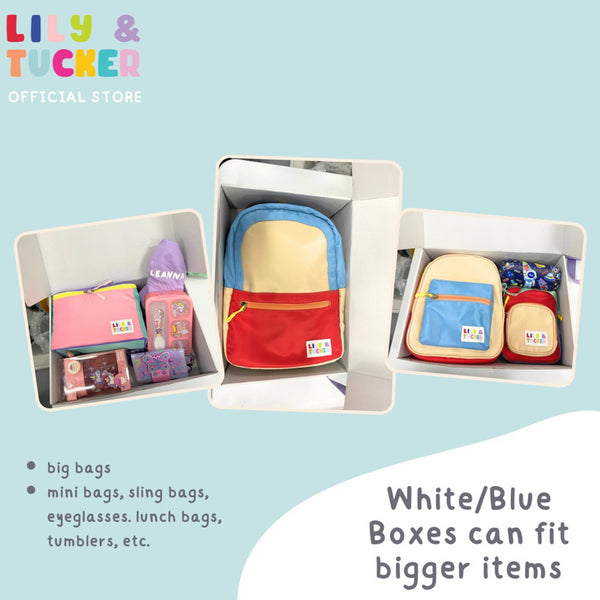 Lily and Tucker Special Gift Big Box Packaging (items not yet included)
