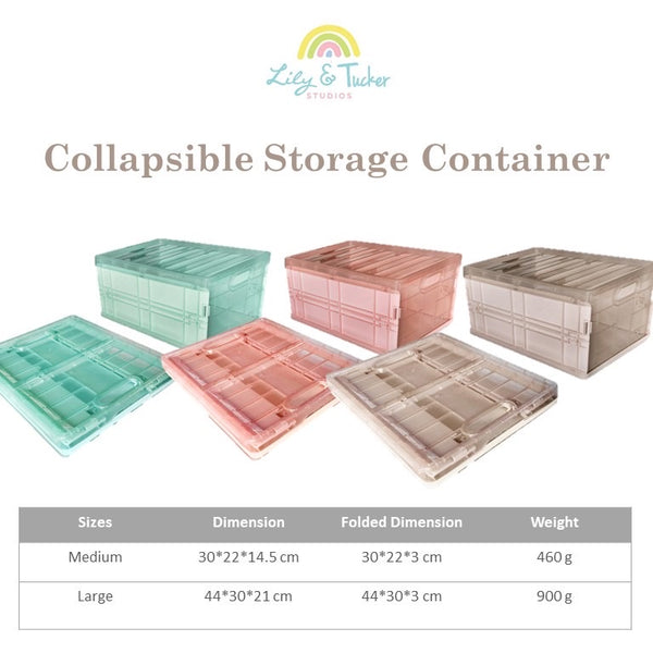 Collapsible Storage Organizer